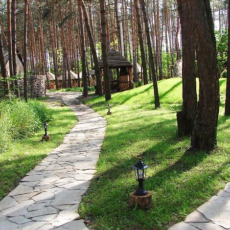 Hotel Pershyi Kordon Tourist Complex Medvedevka Esterno foto