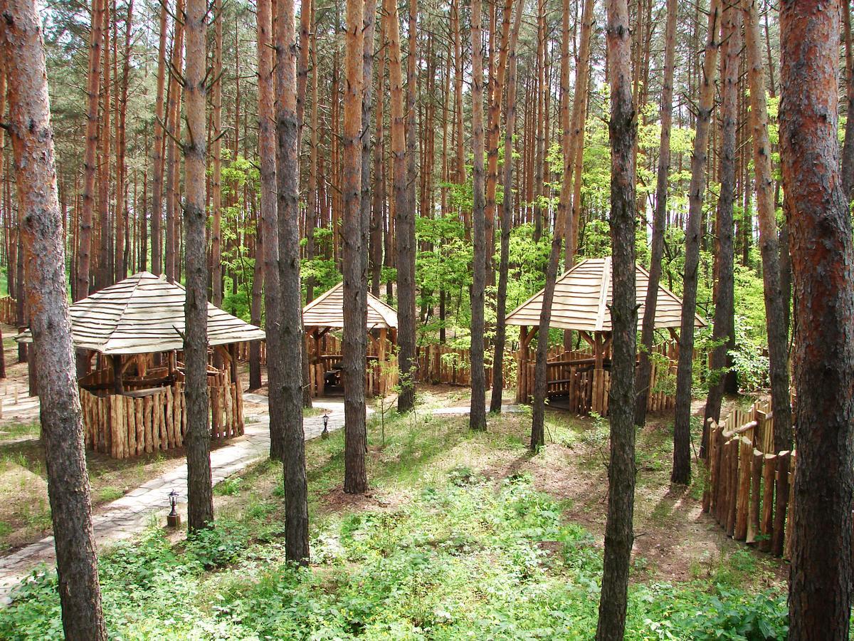Hotel Pershyi Kordon Tourist Complex Medvedevka Esterno foto