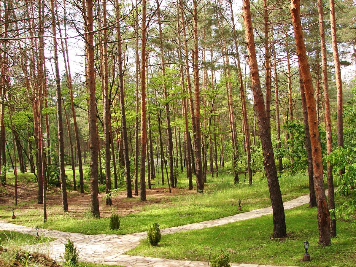 Hotel Pershyi Kordon Tourist Complex Medvedevka Esterno foto